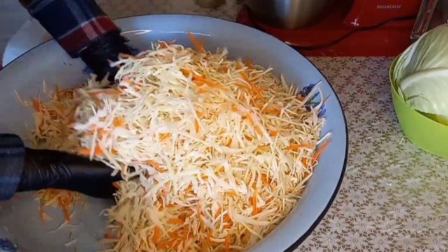 ??КАВКАЗ.КВАШЕНАЯ КАПУСТА #квашенаякапуста #дорогаявенера# смотреть онлайн