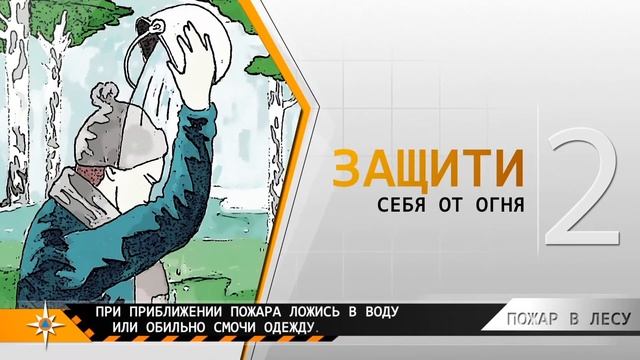 Правила поведения в лесу при пожаре смотреть онлайн