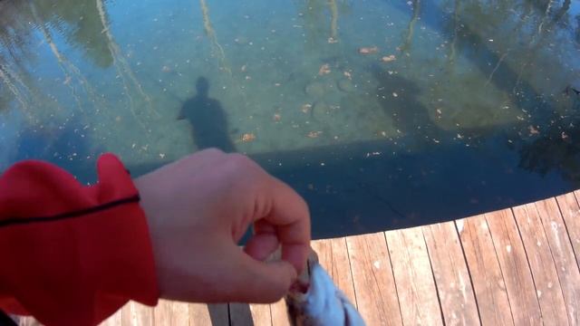 Ловля форели | Рыбалка в Турции | Морское Путешевствия