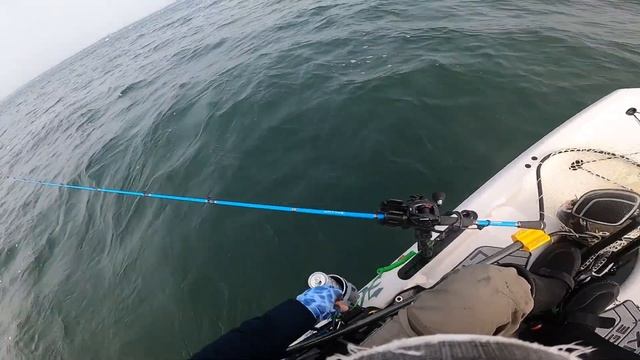 Tough sledding for a keeper Tautog. New Jigging World Night Ranger & Shimano Sellus rods! смотреть онлайн