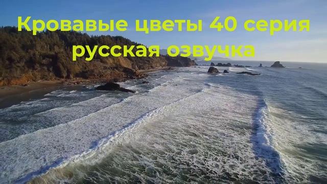 кровавые цветы 40 серия русская озвучка Фрагмент №1| Дилан жаль барана ! смотреть онлайн