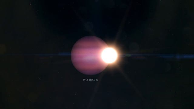 Illustration of the Potential Planet WD 1856 B, Its Host Star, and Its Orbit смотреть онлайн
