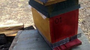 "Альпийский улей",  рамки на 210 или на 108 мм.?