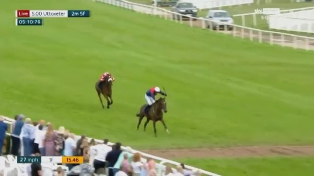 HORSE RACING THRILLS AND SPILLS 2021