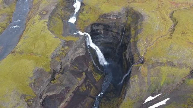 Дельфин в одно движение рассек ноги ребенку, тем самым подарив ей жизнь!