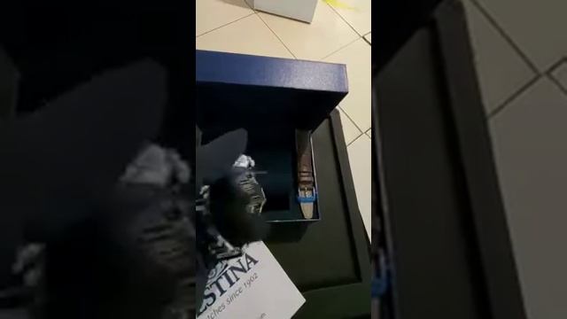 мужские часы Festina F20536/3 смотреть онлайн