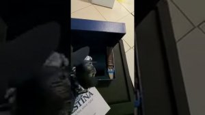 мужские часы Festina F20536/3