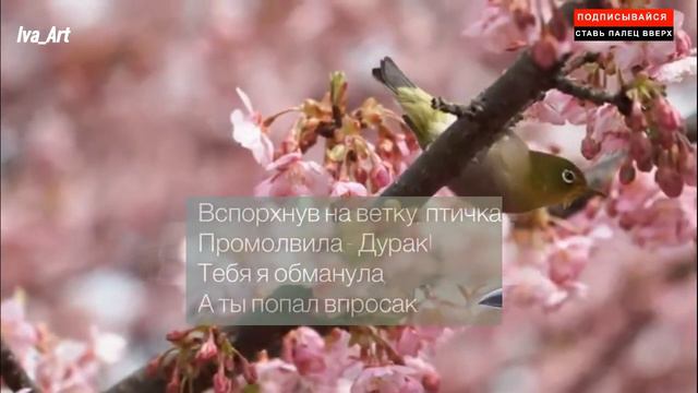 Замечательная сказка про мудрую птичку, которую необходимо знать каждому! Сказка о глупости.С.Марша смотреть онлайн