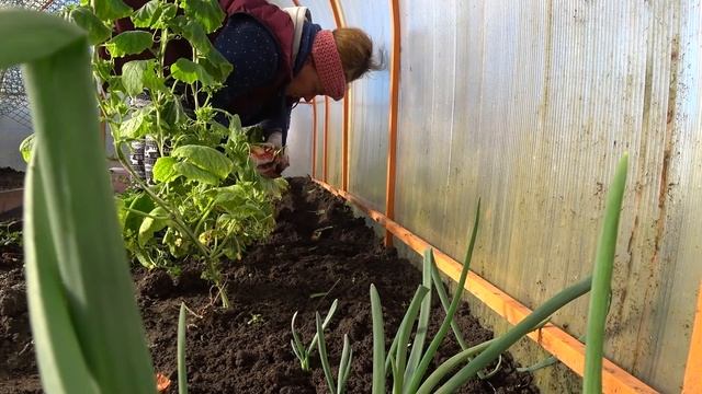 ЗА ТВОРОГОМ НА РЫНОК,А ОН ПОДОРОЖАЛ? КОЕ КАК ЕЕ ЗАТОЛКАЛА?