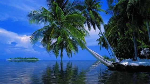 Музыка для медитации Рейки. Йога-Дзен-Массаж-Сон-Работа смотреть онлайн