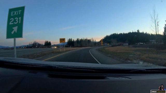 Capturing Majestic Wildlife In Washington State: Bald Eagles And Short Eared Owls Photo Expedition смотреть онлайн