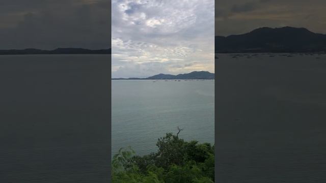 Chalong bay смотреть онлайн