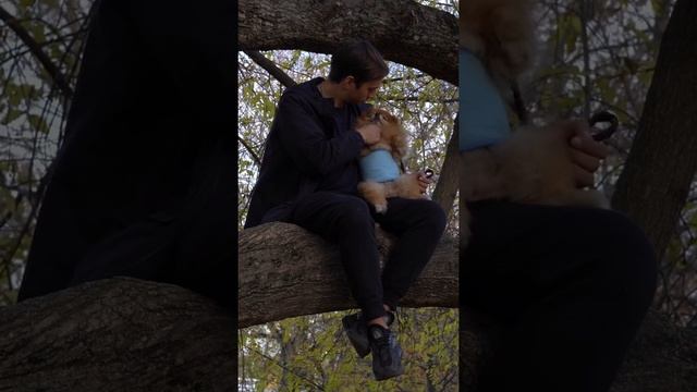 Как отучить собаку метить? 3 часть. смотреть онлайн