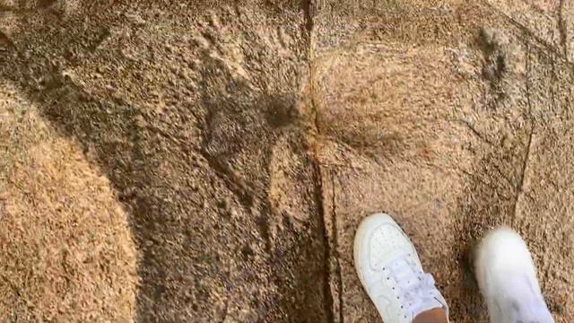 🌴 Nike sneakers • Puddles among the rocks • Jungle hiking trail to waterfall 💦💦 смотреть онлайн