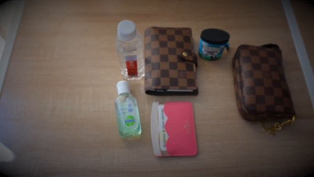 What’s In My Louis Vuitton Palm Springs Mini #louisvuitton #wimb #palmspringsmini #lv