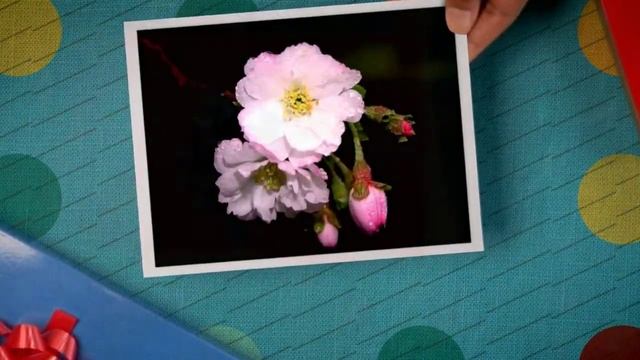 поздравления с пенсией женщине коллеге смотреть онлайн