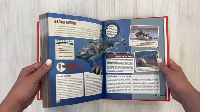 Красная книга мира. Млекопитающие, птицы, рептилии, амфибии, рыбы смотреть онлайн