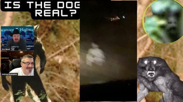 Is The Dogman Real Or Just A Myth?