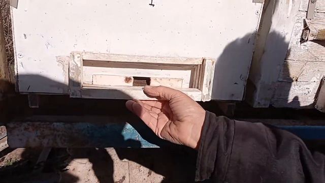 Тонкости кочевой пасеки смотреть онлайн