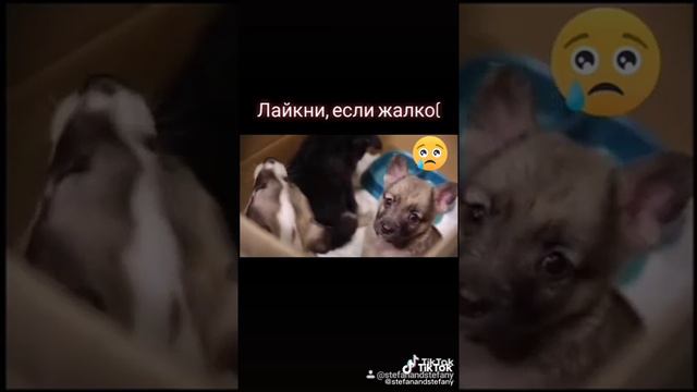 Он ж не чего не стоит Значит я тоже нечего не стою? смотреть онлайн