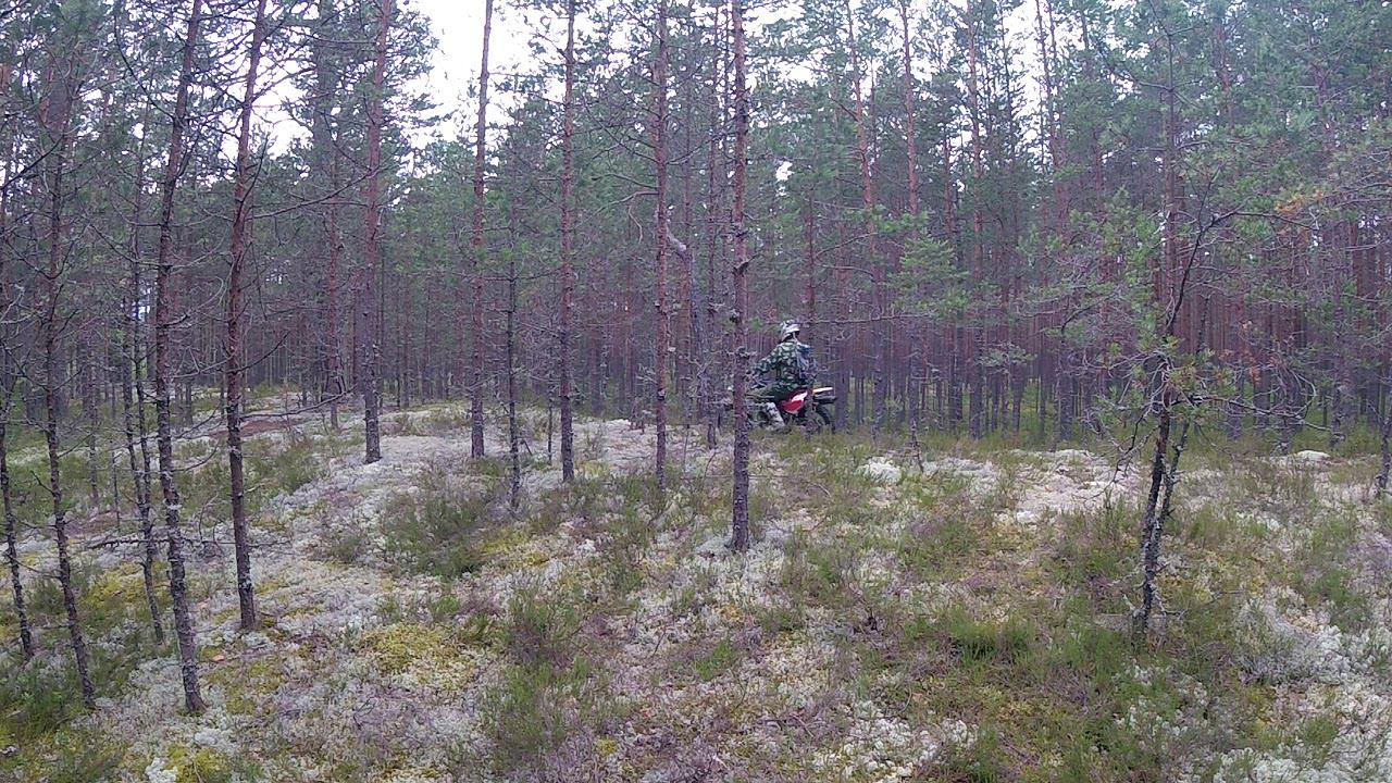 7 смотреть онлайн