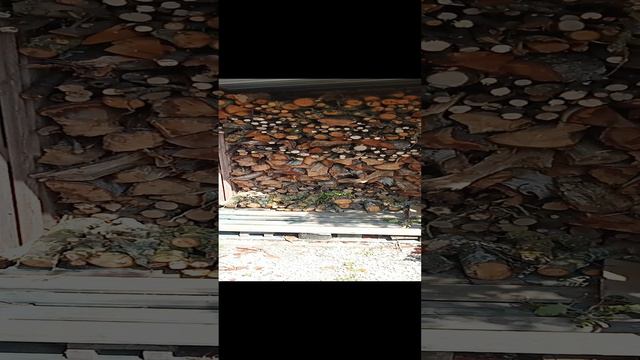 заготовка дров французом