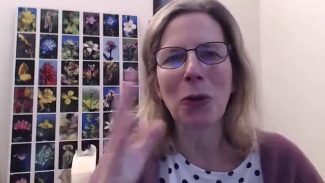 Lundi 3 février 2020 - Fleur de Bach de la semaine - Clematis смотреть онлайн
