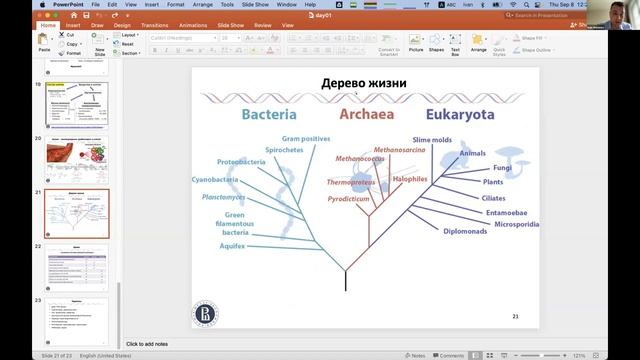 Анализ данных секвенирования — занятие 1 смотреть онлайн