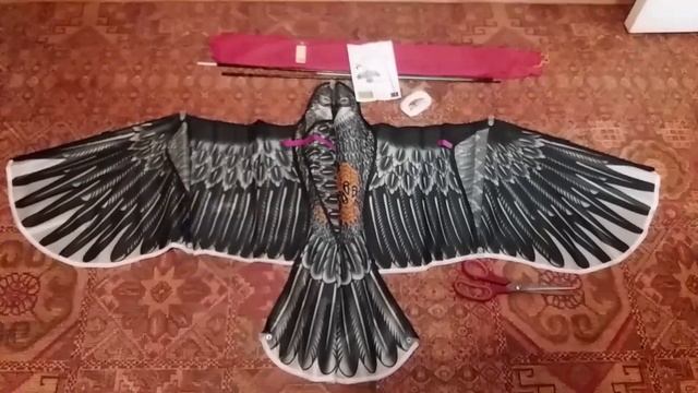 Орел - отпугиватель дроздов. смотреть онлайн