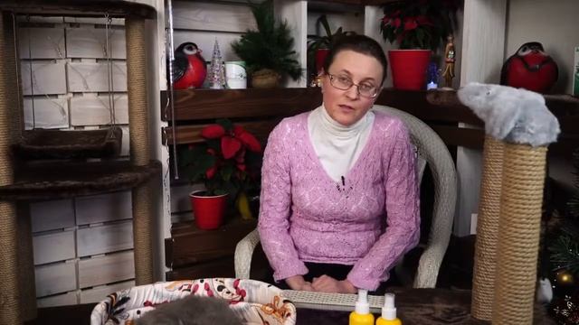 когтеточка для кошек вайлдберриз распаковка с Али смотреть онлайн