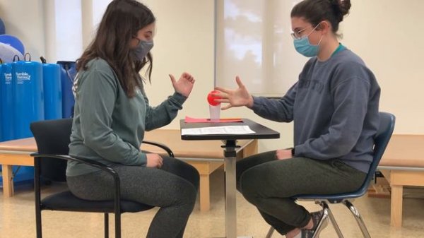 Fugl Meyer Assessment