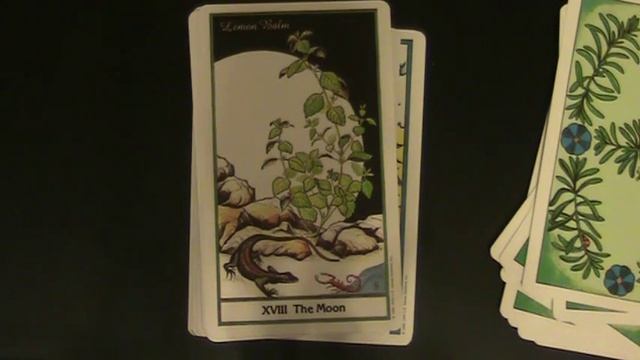 1st Impressions The Herbal Tarot Deck and Kindle book by Grün Eule смотреть онлайн