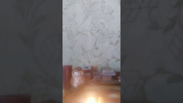 Обряд от клопов! смотреть онлайн