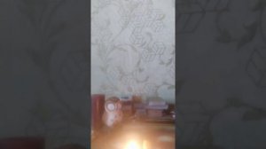 Обряд от клопов!