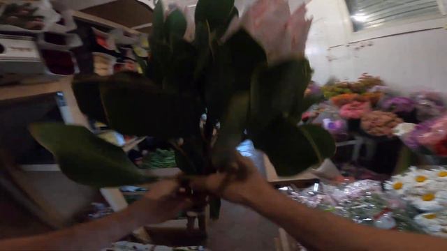 приход 09.06.22 смотреть онлайн