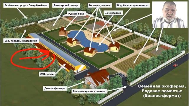 Запись вебинара Я ВЫБИРАЮ ЭКО ЖИЗНЬ. 20 декабря 2017 смотреть онлайн