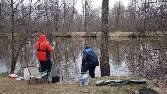 Открыли Сезон по Лещу. Лещ на Фидер. Рыбалка с Ночёвкой. Рис по-флотски. Фидер на Друти.