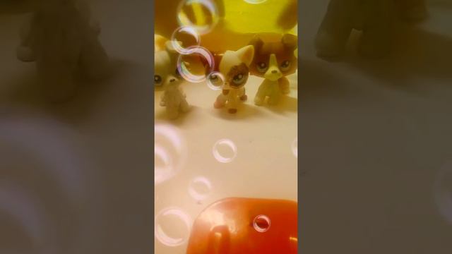 Посылка с лпс с аллеэкспрес!Распаковка колли,такса... смотреть онлайн