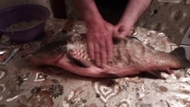 Чистота без границ