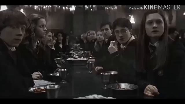 Драко и Гермиона.
