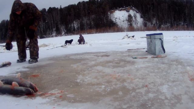 На рыбалку с друзьями смотреть онлайн
