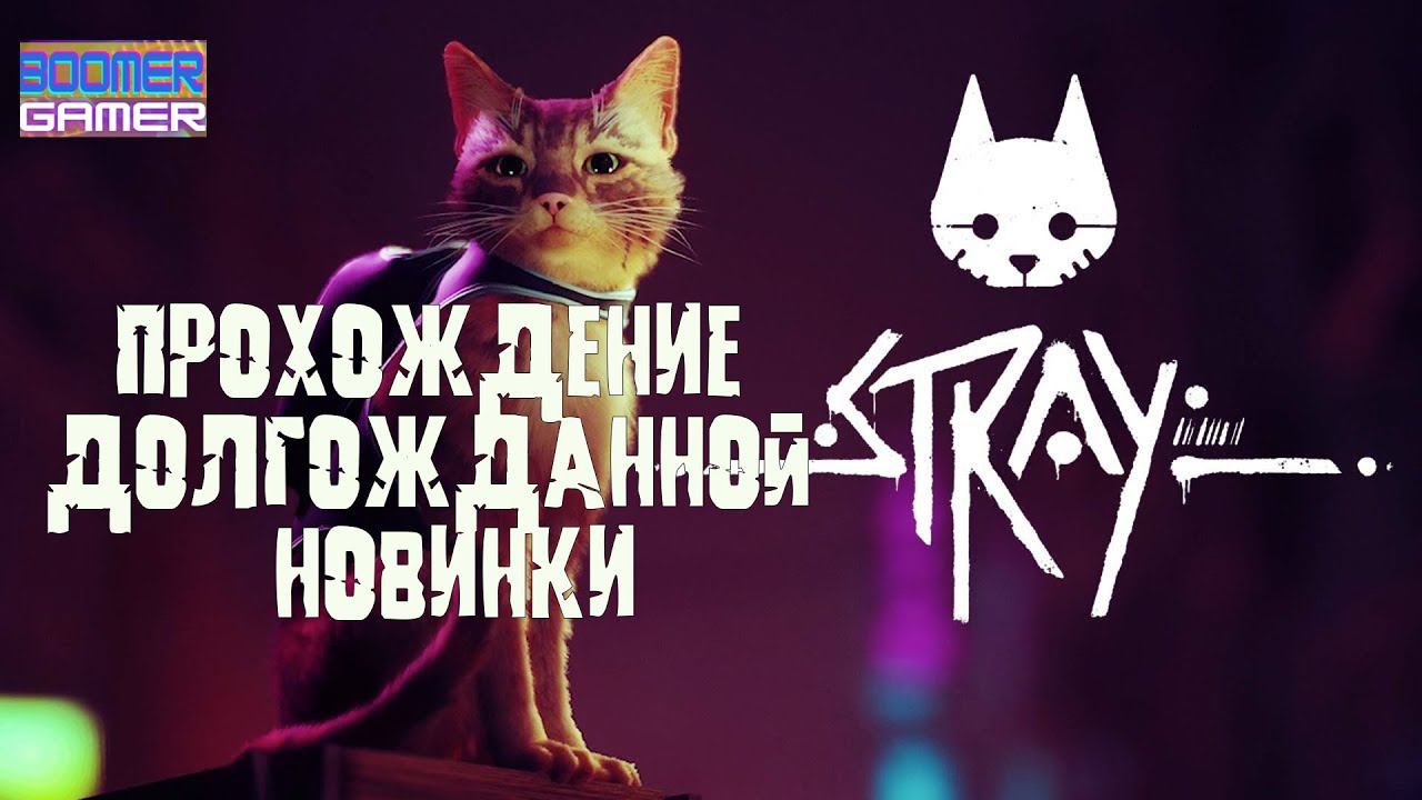 Stray вышла! Пойдем, заценим?) смотреть онлайн