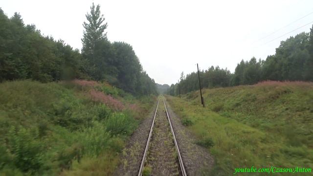 Kolej w Rosji, Toropiec - Gładki Łog z okna pociągu / Торопец - Гладкий Лог из окна поезда смотреть онлайн