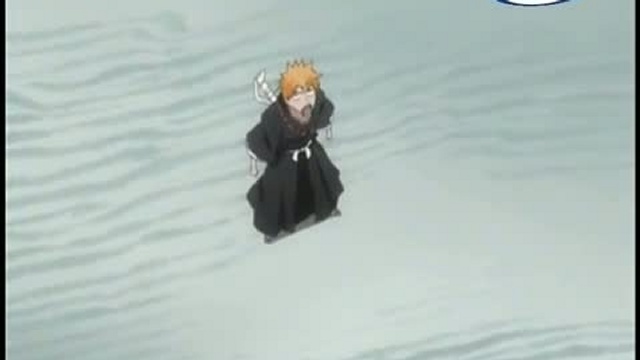 Bleach CZ Ep146