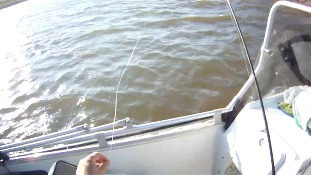 Судак есть! Он не может не есть! Бандиты вне конкуренции, косят всё! Осенний сезон 2017 смотреть онлайн