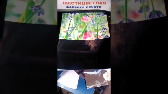 Печать фото через интернет в Туле дешево смотреть онлайн