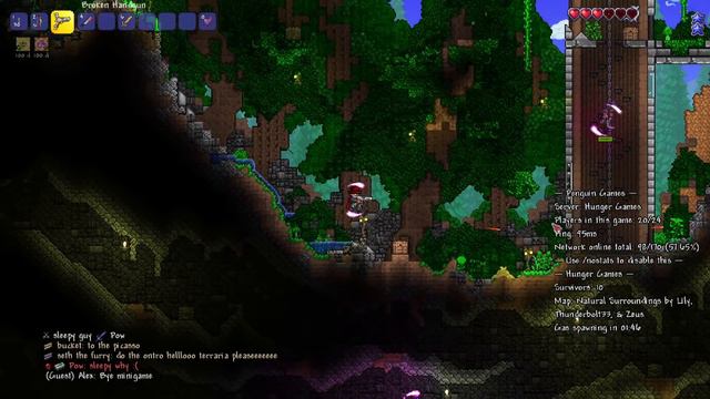 The Hypixel Experience In Terraria