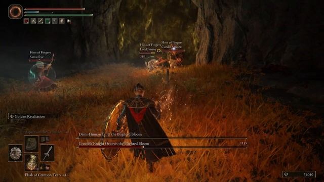 Elden Ring Randomizer and Co-op Shenanigans - Season Two: Episode Nine смотреть онлайн