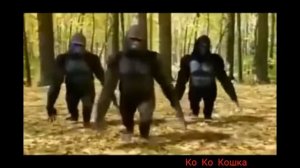 Слева горы справа гора а вдали Кавказ.