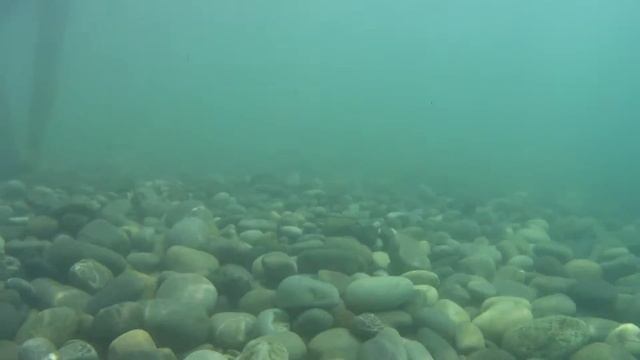 Чёрное море смотреть онлайн